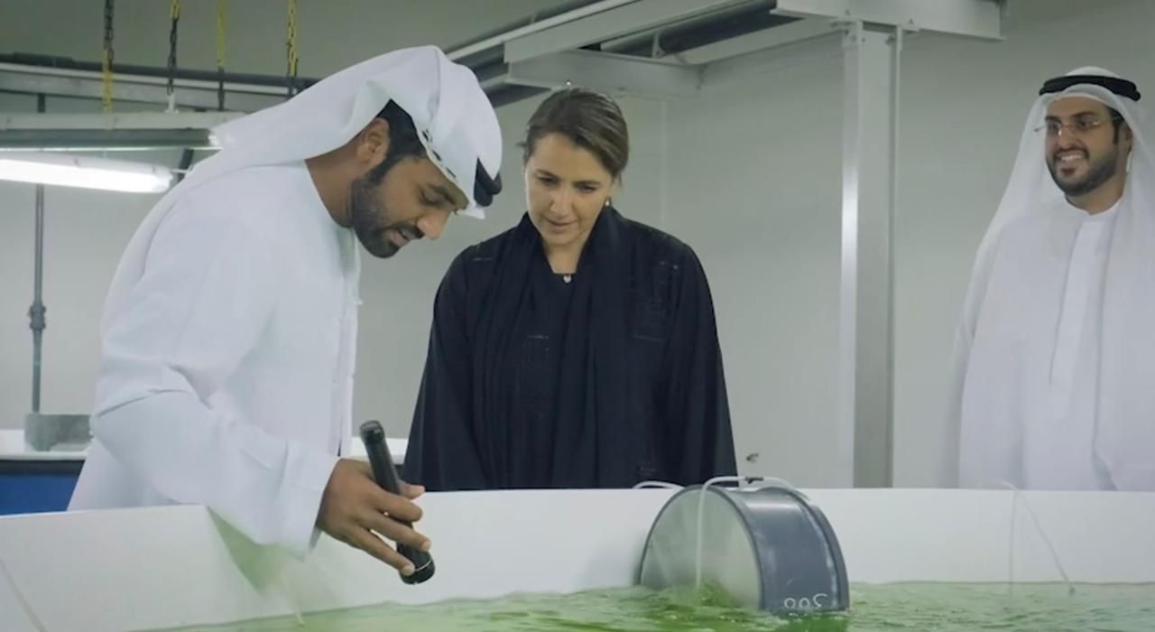 Sheikh Khalifa Marine Research Centre develops UAE fish farming